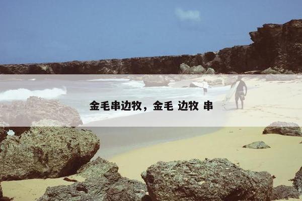 金毛串边牧，金毛 边牧 串
