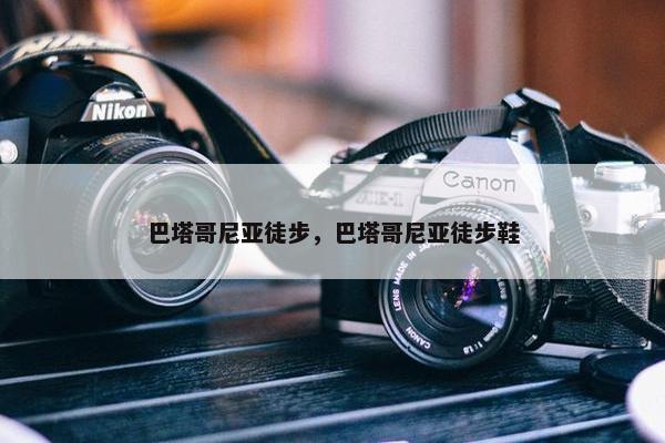 巴塔哥尼亚徒步，巴塔哥尼亚徒步鞋