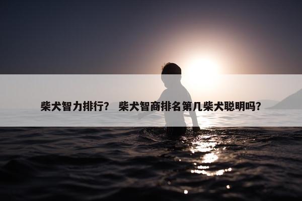 柴犬智力排行？ 柴犬智商排名第几柴犬聪明吗？