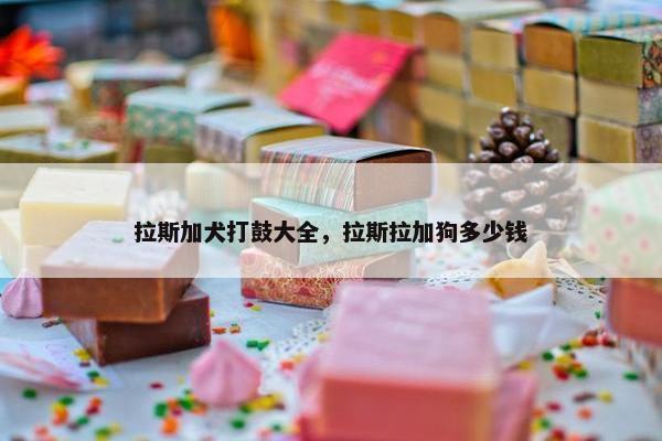 拉斯加犬打鼓大全，拉斯拉加狗多少钱