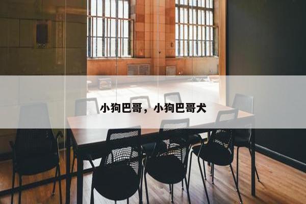 小狗巴哥，小狗巴哥犬