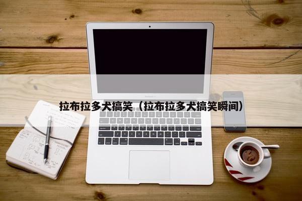 拉布拉多犬搞笑（拉布拉多犬搞笑瞬间）