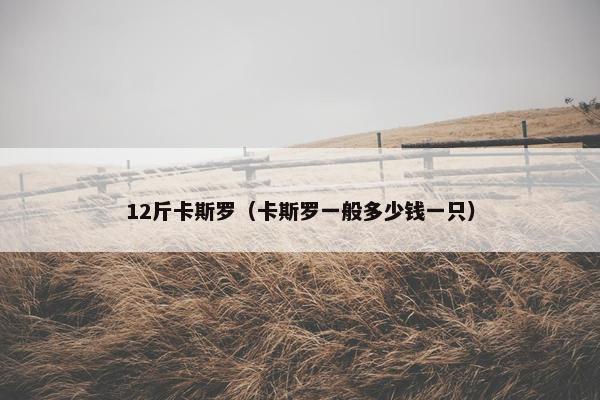 12斤卡斯罗（卡斯罗一般多少钱一只）