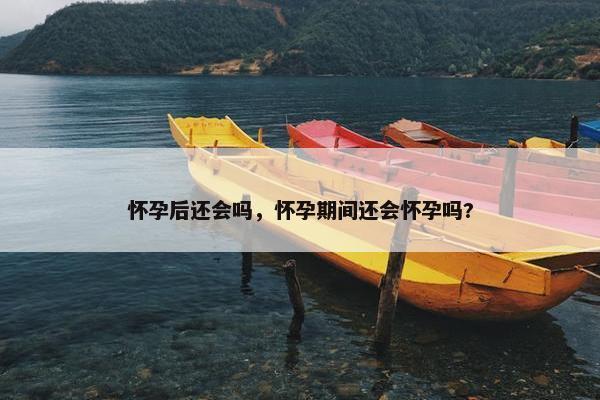 怀孕后还会吗，怀孕期间还会怀孕吗?