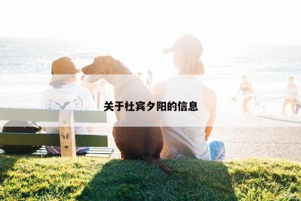 关于杜宾夕阳的信息