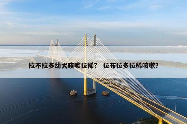拉不拉多幼犬咳嗽拉稀？ 拉布拉多拉稀咳嗽？