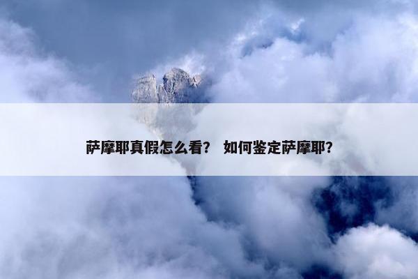 萨摩耶真假怎么看？ 如何鉴定萨摩耶？