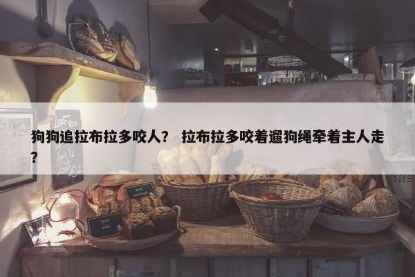狗狗追拉布拉多咬人？ 拉布拉多咬着遛狗绳牵着主人走？