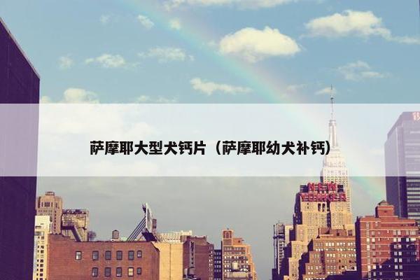 萨摩耶大型犬钙片（萨摩耶幼犬补钙）
