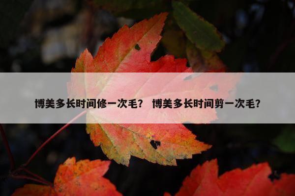 博美多长时间修一次毛？ 博美多长时间剪一次毛？