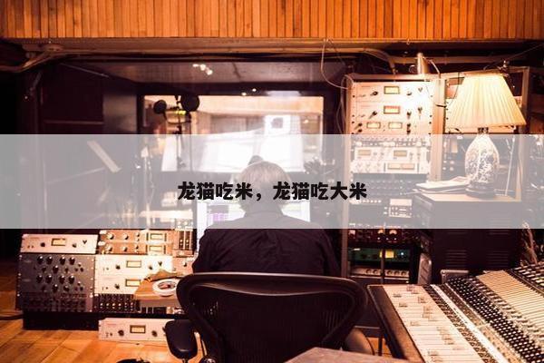 龙猫吃米，龙猫吃大米
