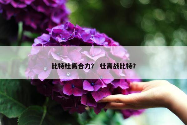 比特杜高合力？ 杜高战比特？