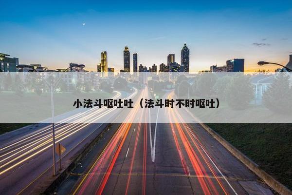 小法斗呕吐吐（法斗时不时呕吐）