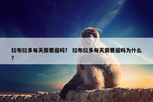 拉布拉多每天需要遛吗？ 拉布拉多每天需要遛吗为什么？