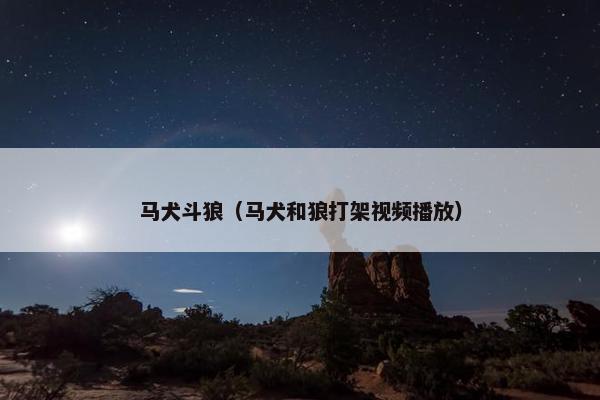 马犬斗狼（马犬和狼打架视频播放）