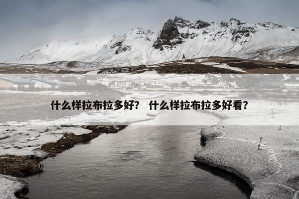 什么样拉布拉多好？ 什么样拉布拉多好看？