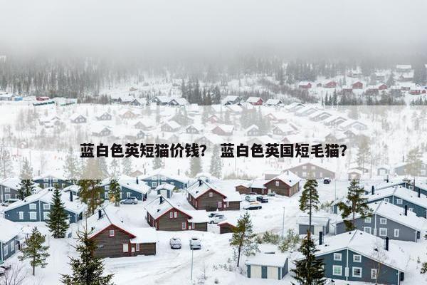 蓝白色英短猫价钱？ 蓝白色英国短毛猫？
