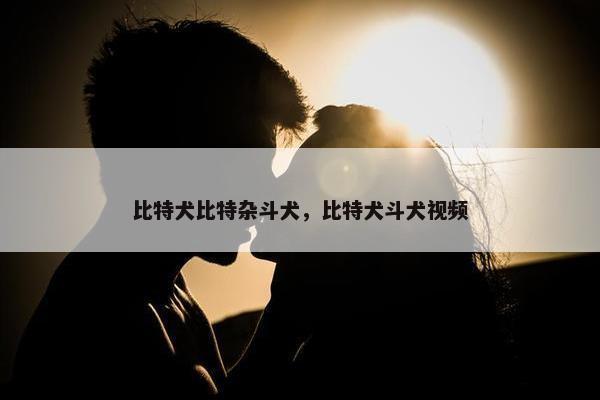 比特犬比特杂斗犬，比特犬斗犬视频