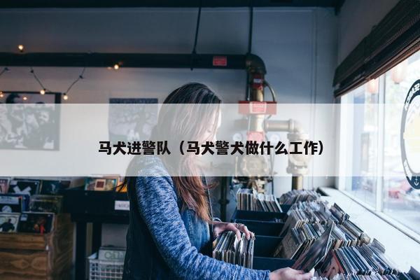 马犬进警队（马犬警犬做什么工作）