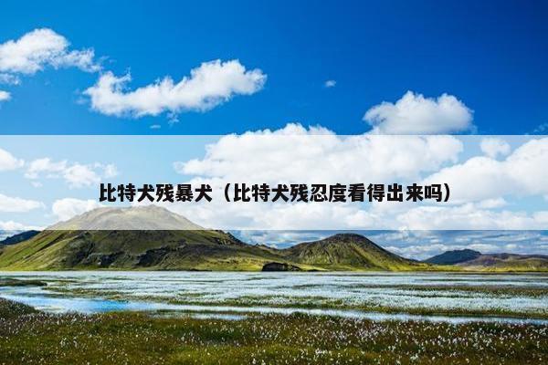 比特犬残暴犬（比特犬残忍度看得出来吗）