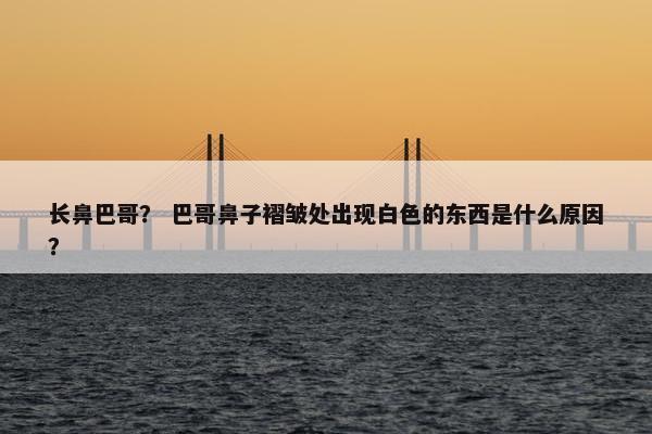 长鼻巴哥？ 巴哥鼻子褶皱处出现白色的东西是什么原因？