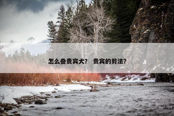 怎么叠贵宾犬？ 贵宾的剪法？