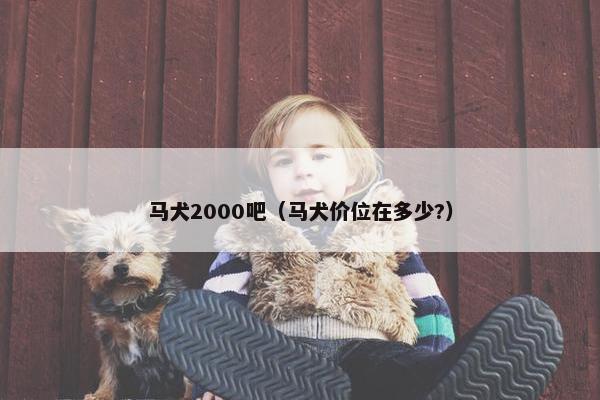 马犬2000吧（马犬价位在多少?）