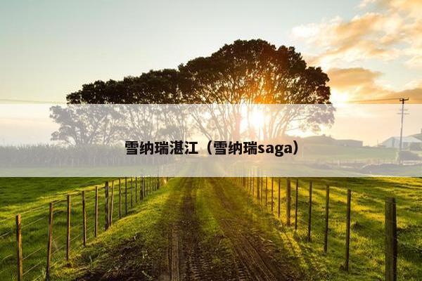 雪纳瑞湛江（雪纳瑞saga）
