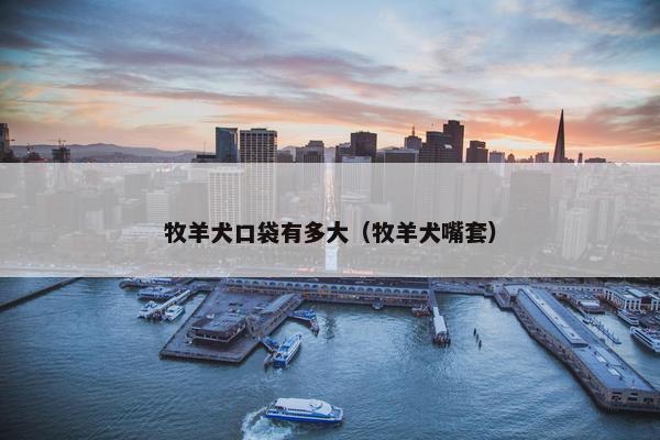 牧羊犬口袋有多大（牧羊犬嘴套）