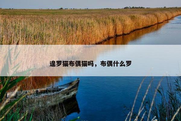 遑罗猫布偶猫吗，布偶什么罗