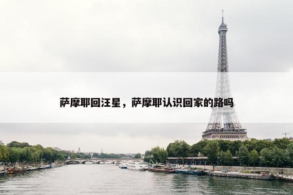 萨摩耶回汪星，萨摩耶认识回家的路吗