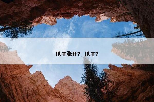 爪子张开？ 爪子？