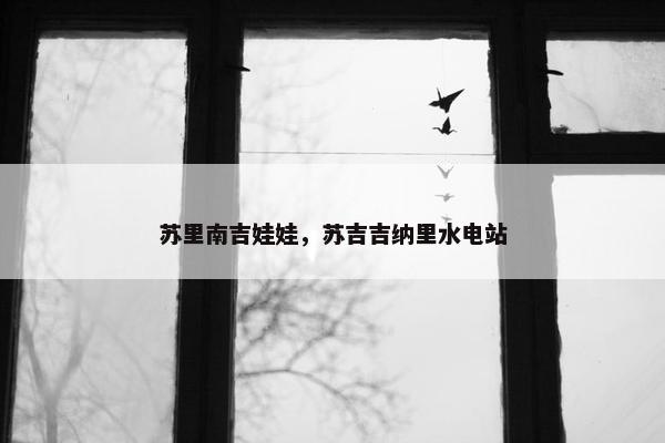 苏里南吉娃娃，苏吉吉纳里水电站