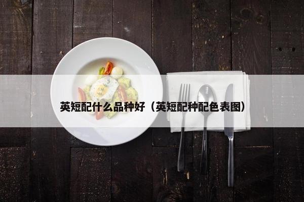 英短配什么品种好（英短配种配色表图）