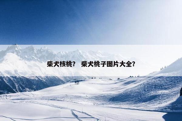 柴犬核桃？ 柴犬桃子图片大全？