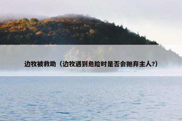 边牧被救助（边牧遇到危险时是否会抛弃主人?）