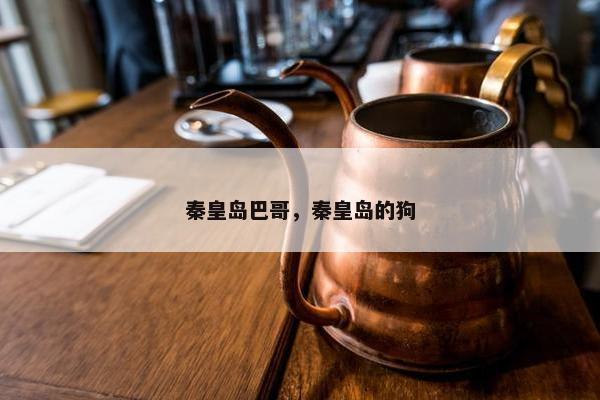 秦皇岛巴哥，秦皇岛的狗
