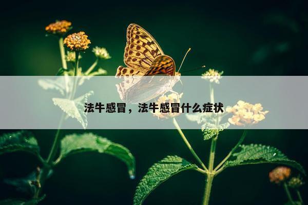 法牛感冒，法牛感冒什么症状
