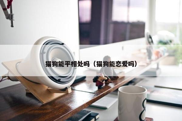 猫狗能平相处吗（猫狗能恋爱吗）