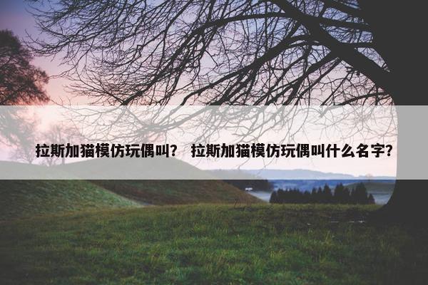 拉斯加猫模仿玩偶叫？ 拉斯加猫模仿玩偶叫什么名字？