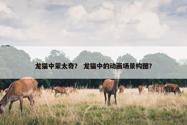 龙猫中蒙太奇？ 龙猫中的动画场景构图？