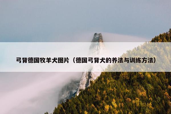 弓背德国牧羊犬图片（德国弓背犬的养法与训练方法）