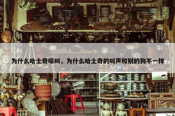 为什么哈士奇嚎叫，为什么哈士奇的叫声和别的狗不一样