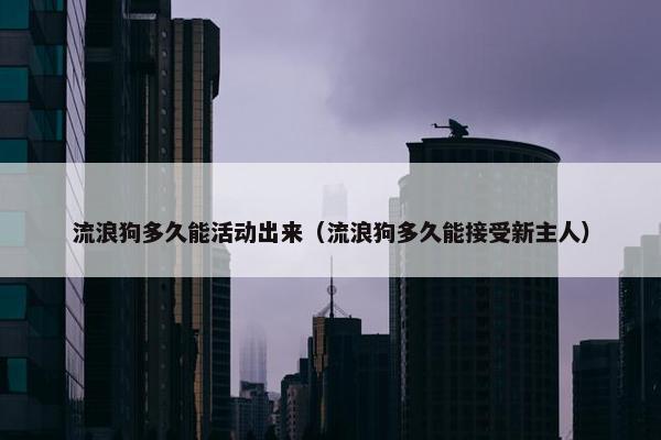 流浪狗多久能活动出来（流浪狗多久能接受新主人）