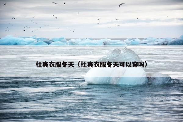 杜宾衣服冬天（杜宾衣服冬天可以穿吗）