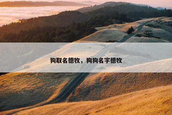 狗取名德牧，狗狗名字德牧
