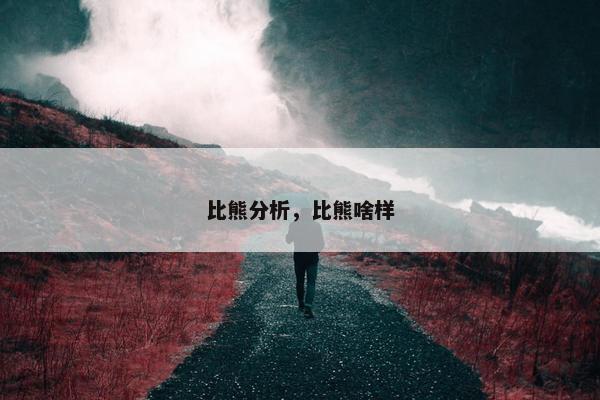 比熊分析，比熊啥样