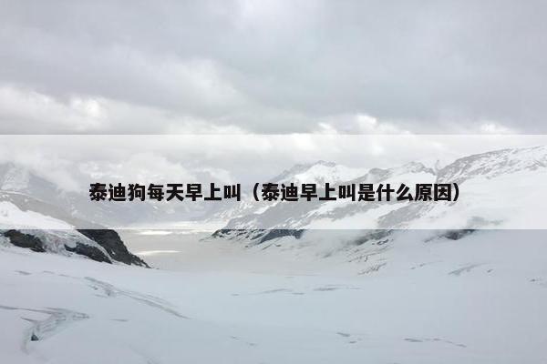 泰迪狗每天早上叫（泰迪早上叫是什么原因）