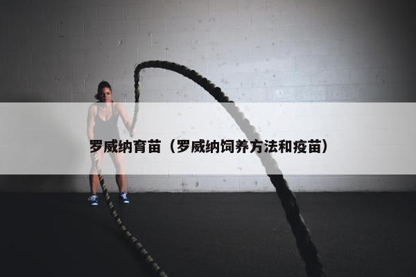 罗威纳育苗（罗威纳饲养方法和疫苗）