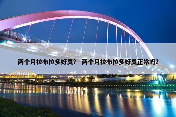 两个月拉布拉多好臭？ 两个月拉布拉多好臭正常吗？